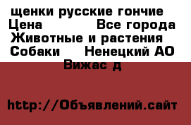 щенки русские гончие › Цена ­ 4 000 - Все города Животные и растения » Собаки   . Ненецкий АО,Вижас д.